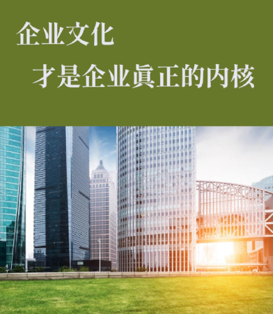 企业网络安全与信息系统集成选购指南：如何选择合适的IT技术服务商